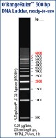 O'RangeRuler™ 500bp DNA Ladder, ready-to-use
