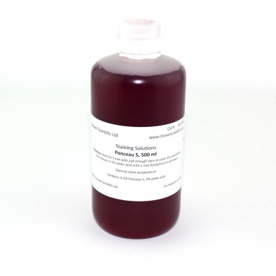 Ponceau S staining solution 