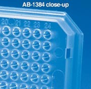Thermo-Fast 384  PCR Plate     