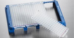 96-well Piko PCR Plate, clear 