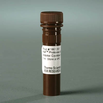 Halt™ Protease and Phosphatase Inhibitor Cocktail, EDTA-free (100X) 