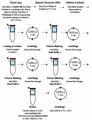 Blood DNA Extraction Kit (Proteinase K included) 