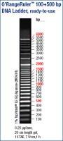 O'RangeRuler™ 100bp+500bp DNA Ladder, ready-to-use