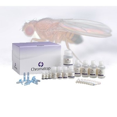 Drosophila ChIP-Seq Pro A 