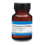 Kanamycin Sulfate USP