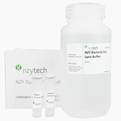 NZY Bacterial Cell Lysis Buffer 