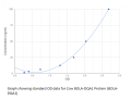 Cow BOLA-DQA1 Protein (BOLA-DQA1) ELISA Kit 