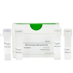 NZY First-Strand cDNA Synthesis Kit
