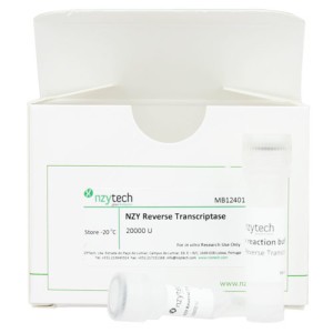 NZY Reverse Transcriptase 