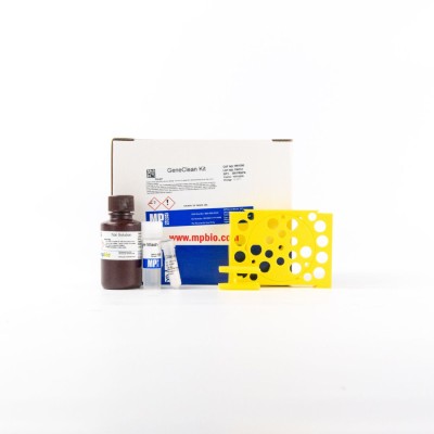 GENECLEAN® KIT 