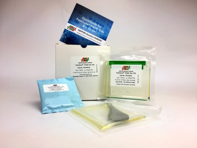 Fastgene® Precast Protein Gel - Starter 