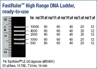 FastRuler™ DNA Ladder, High range, ready-to-use 