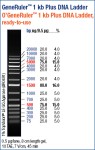 GeneRuler™ 1kb DNA Ladder Plus