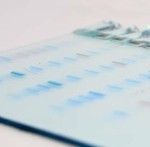 FastGene® PAGE Gel 4-20% 12 well (8x10 cm)