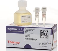 TransformAid™ Bacterial Transformation Kit