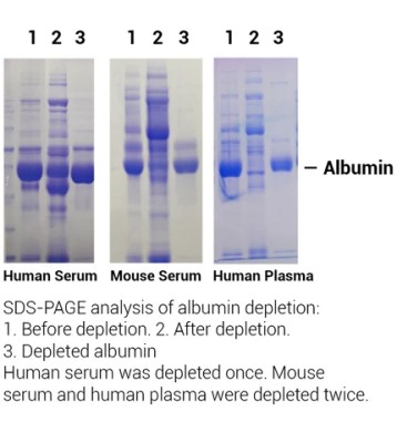 Minute™ Albumin Depletion Reagent for Plasma and Serum 