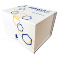 Cow BOLA-DQA1 Protein (BOLA-DQA1) ELISA Kit 