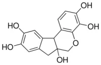 HEMATOXYLIN