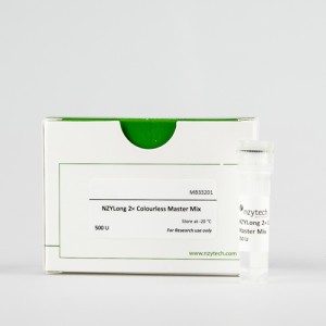 NZYLong 2x Colourless Master Mix 