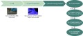 NZY-blunt PCR cloning kit 