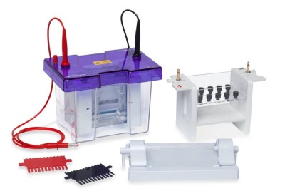 omniPAGE Mini 2D - zestaw modułowy do elektroforezy pionowej i kapilarnej 