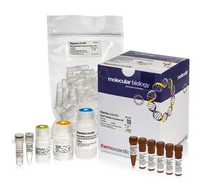 EpiJET™ Bisulfite Conversion Kit K1461 650x600.jpg-650.jpg