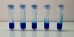 Maximo Blue-Taq DNA Polymerase (ready-to-load)