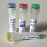Maximo Taq DNA Polymerase Maximo Taq DNA Polymerase.jpg