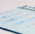 FastGene® PAGE Gel 4-12% -12 well (8x10 cm) 2f33d6335b2ea44eba89055a2df4fd00.jpg
