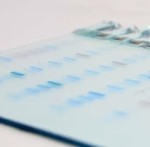 FastGene® PAGE Gel 4-12% -12 well (8x10 cm)