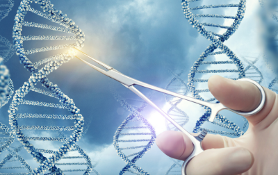 FastGene AvaII Screenshot_2021-05-27 FastGene Restriction Enzymes − Important molecular biology tools.png