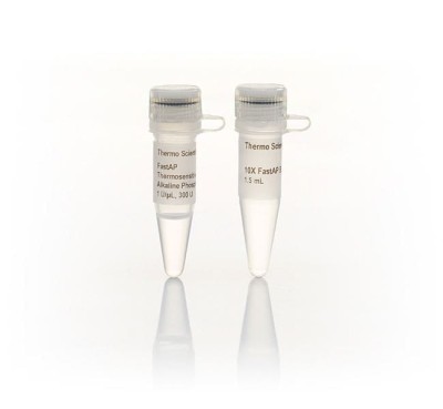 FastAP™ Thermosensitive Alkaline Phosphatase EF065 FAP.jpg