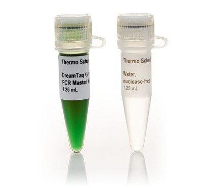 DreamTaq™ Green Master Mix (2x) DreamTaq Green MM.jpg