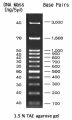 Electrophoresis PROMOPACK (MG04 + MWD100 +AG01 + 4 gelband cutter) 9e91e7ef3d9a1cef60923285b030b3eb.png