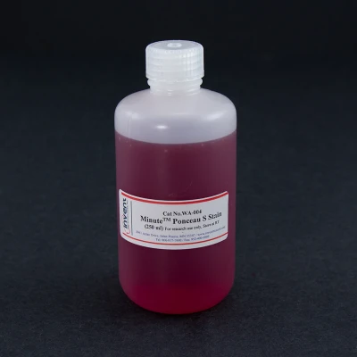 Minute™ Ponceau S Stain WA-004.webp