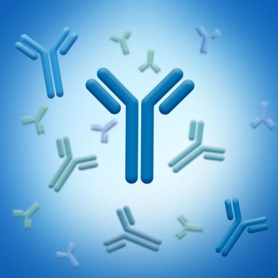 anti P III - antibody, monoclonal mouse, lyophilized mbt-antibodies-2.jpg