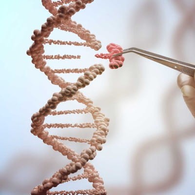 FastGene Kickspeed DNA Ligation kit ligases.jpg