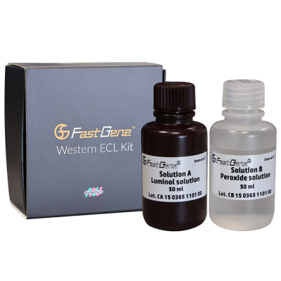 FastGene Western ECL Kit  for high femtogram or low picogram detection fg-ch01-fastgene-western-ecl-kit-bottles-and-package.png