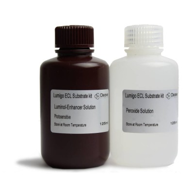 LuniGO ECL substrate kit ECLONE-1.WEB_.jpg