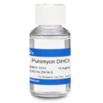Puromycin DiHCl Solution (10 mg/mL in 20 mM HEPES)