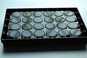 Imaging Plate FC, 24 well, TC-surface 