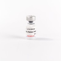 FIBRONECTIN