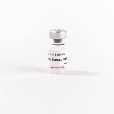 FIBRONECTIN a8c5f18e2a435c2967758fcf17c9104c3db77ba78fb6e7d5ffd3bc7c8d8721d0.jpeg