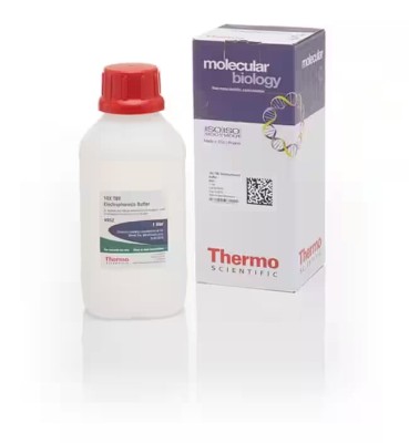 50X TAE Electrophoresis Buffer B52.jpg