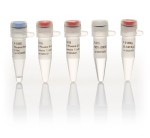 Phusion® Hot Start II High-Fidelity DNA Polymerase