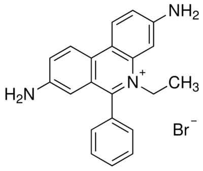 019f7efa5aee136f1e0161802b51908cedcb969ce1cd025c794ba48802eeb4f9.png