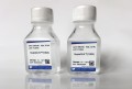 SupraGLN (100x) L-glutamine SupraGLN™ 091680349.jpg