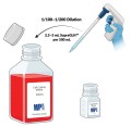 SupraGLN (100x) L-glutamine SupraGLN 091680349.jpg
