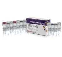 RevertAid™ First Strand cDNA Synthesis Kit