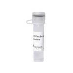 NZYTaq 2× GC-Enhancer Solution